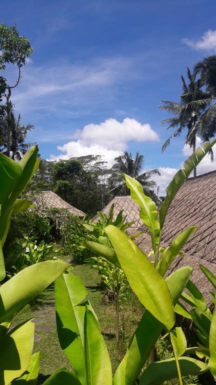 Bersila La Maison Du Bonheur Payangan Exteriér fotografie