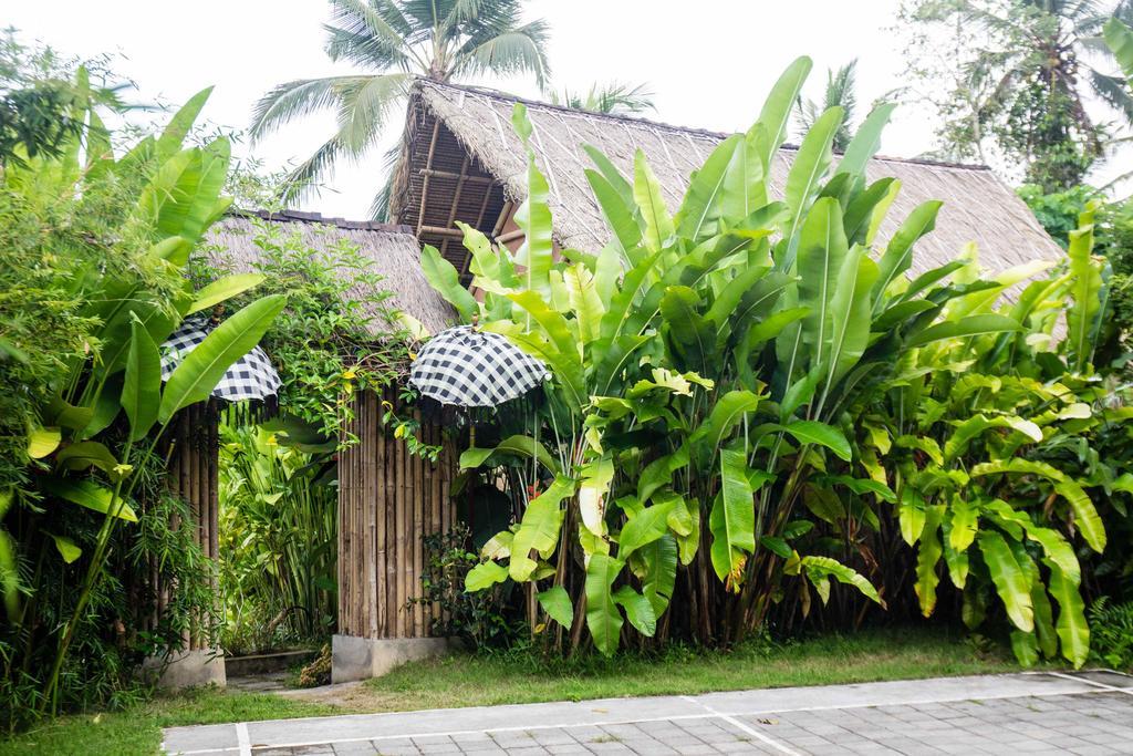 Bersila La Maison Du Bonheur Payangan Exteriér fotografie